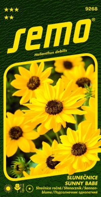 Semo Slunečnice slabá - Sunny Babe (Piccolo) 1,2g - série NEKTAR PÁRTY - VÝPRODEJ