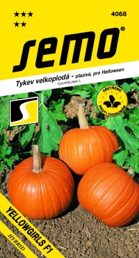 Semo Tykev plazivá - Yellowgirls F1 (Halloween) 3g - VÝPRODEJ