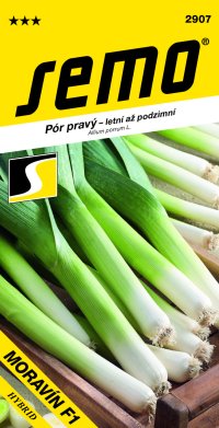 Semo Pór letní - Moravín F1 2g - VÝPRODEJ