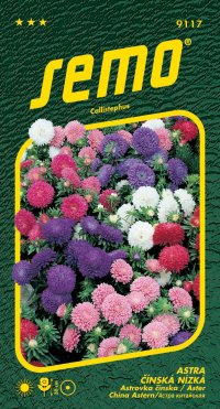 Semo Astra čínská - Colour Carpet (30cm) 0,5g - VÝPRODEJ