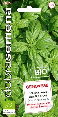 Dobrá semena BIO Bazalka pravá - Genovese 0,6g - VÝPRODEJ