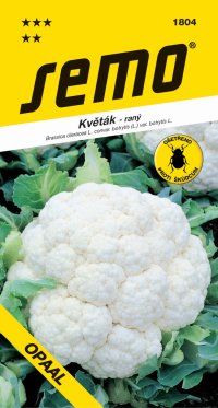 Semo Květák jarní - Opaal raný 25s - VÝPRODEJ