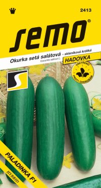 Semo Okurka salátová do skleníku - Paladinka F1 kr 10s - VÝPRODEJ