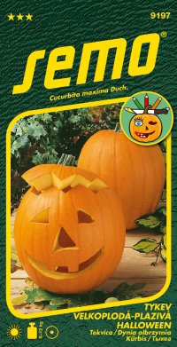 Semo Tykev okrasná - Halloween 2g - série K DEKORACI - VÝPRODEJ