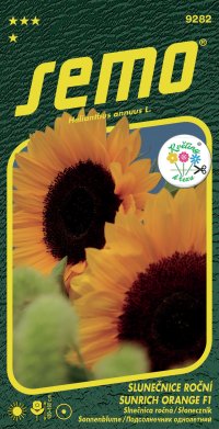 Semo Slunečnice roční - Sunrich Orange F1 15s - série KVĚTINY K ŘEZU - VÝPRODEJ