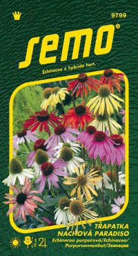 Semo Třapatka nachová - Paradiso 12s - VÝPRODEJ