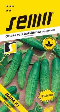Semo Okurka nakládačka - Bára F1 hr 2g - VÝPRODEJ