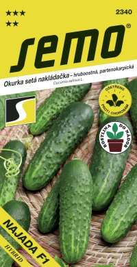 Semo Okurka nakládačka - Najada F1 partenokarpická hr 1,5g - série DO NÁDOB - VÝPRODEJ