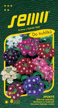 Semo Sporýš zkřížený - verbena směs 0,5g - VÝPRODEJ