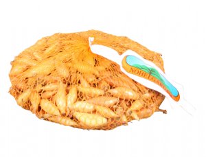 Cibule sazečka BIRNFORMIGE žlutá 500g 8-16mm - VÝPRODEJ