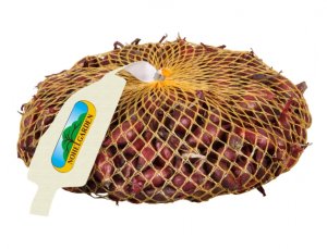 Cibule sazečka ROMY 500g 8-16mm - VÝPRODEJ