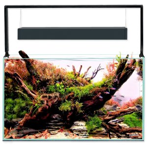 Akvarijní set Aquael Ultrascape 60 forest, 64,8l - mix variant či barev - VÝPRODEJ